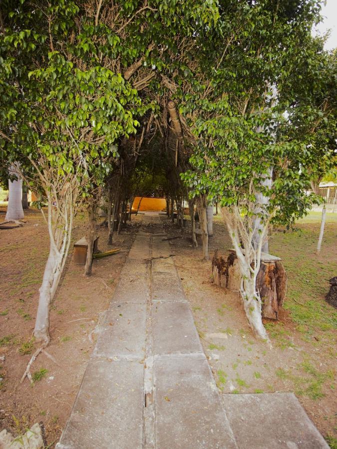 Hotel Nudista - Luz De Luna Nude Tehuixtla Ngoại thất bức ảnh