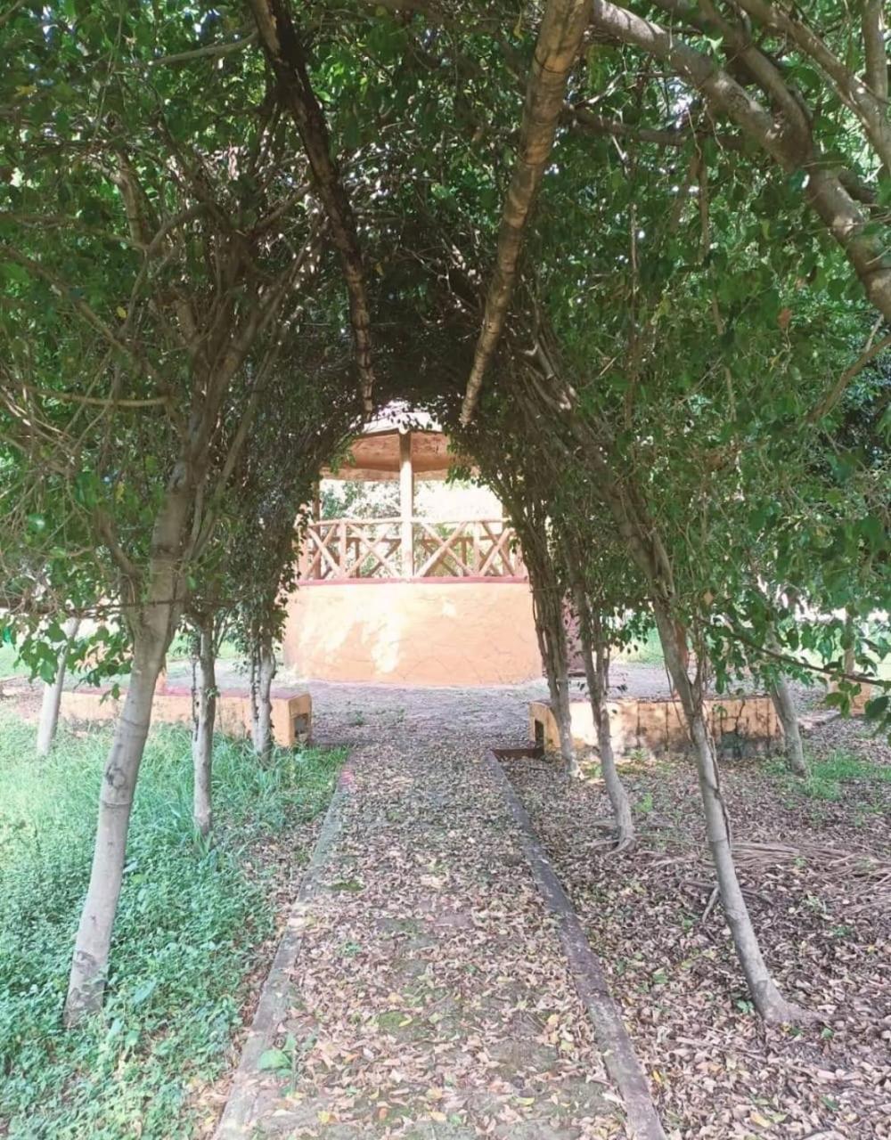 Hotel Nudista - Luz De Luna Nude Tehuixtla Ngoại thất bức ảnh